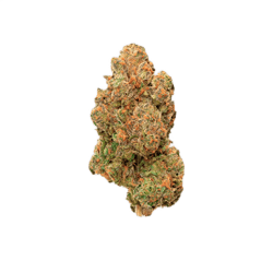 avaay 22/1 PNK Pineapple Nuken